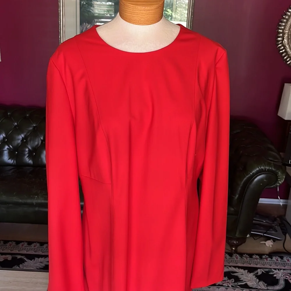 Red Dress - Picture 4 of 6